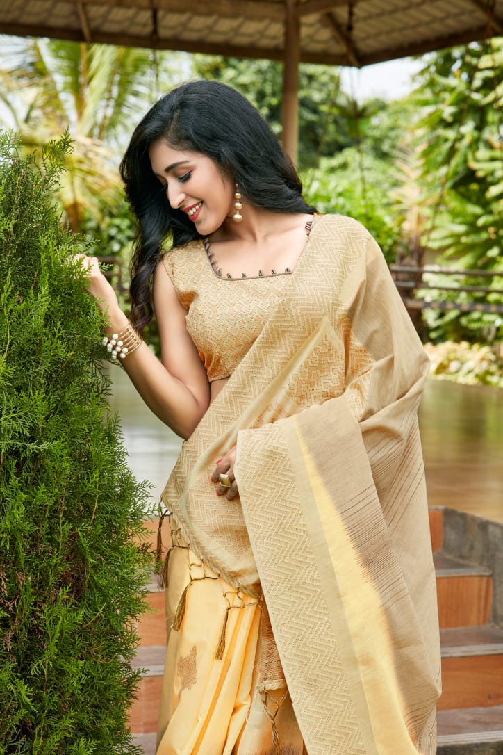 Rajyog Paridhan Silk Pure Cotton Silk Designer Party Wear Saree Collection at Wholesale Price